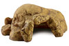 Exo terra pt2886 new reptile cave x large 1080x720