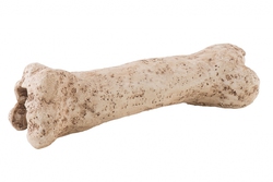Убежище-декор кость динозавра Exo Terra 19х8х7 см. PT2842