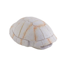 Убежище-декор панцирь черепахи Exo Terra 13х9х5.5 см. PT2927
