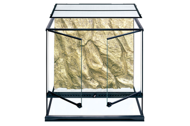 Pt2612 natural terrarium