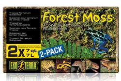 Мох натуральный для террариумов Forest Moss. PT3095