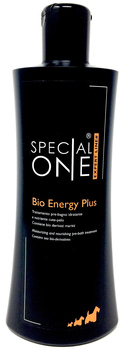 Bioenergy 1000 39