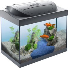 Аквариум Starter Line LED 30л Аквариум (Свет: led 6Вт + Фильтр EasyCrystal 250 + Корм GoldFish 100мл + AquaSafe GoldFish 100мл + брошюра)