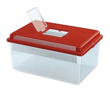 Фаунариум, плоский, малый для рептилий Ferplast Geo Flat Small 35х23х16 cm - 4 L