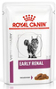 Early renal
