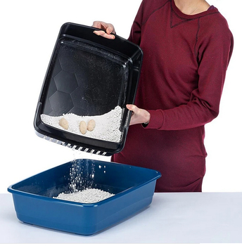 4368