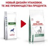 2 rc vet dry dogsatietywm