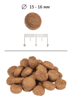 Granuly blitz adult large giant breeds suhoi korm dlya vzroslyh sobak krupnyh i gigantskih porod