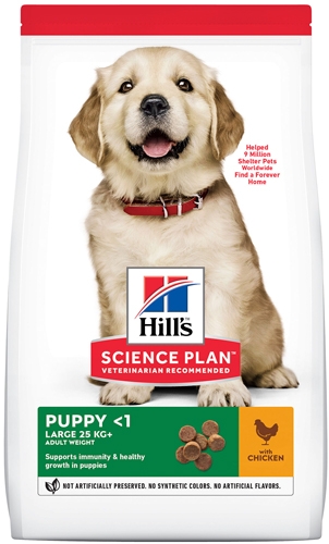 Hills at shop home pet food