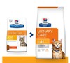Hiil cd cat