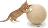 254215 pho pro cat clip 43721 2