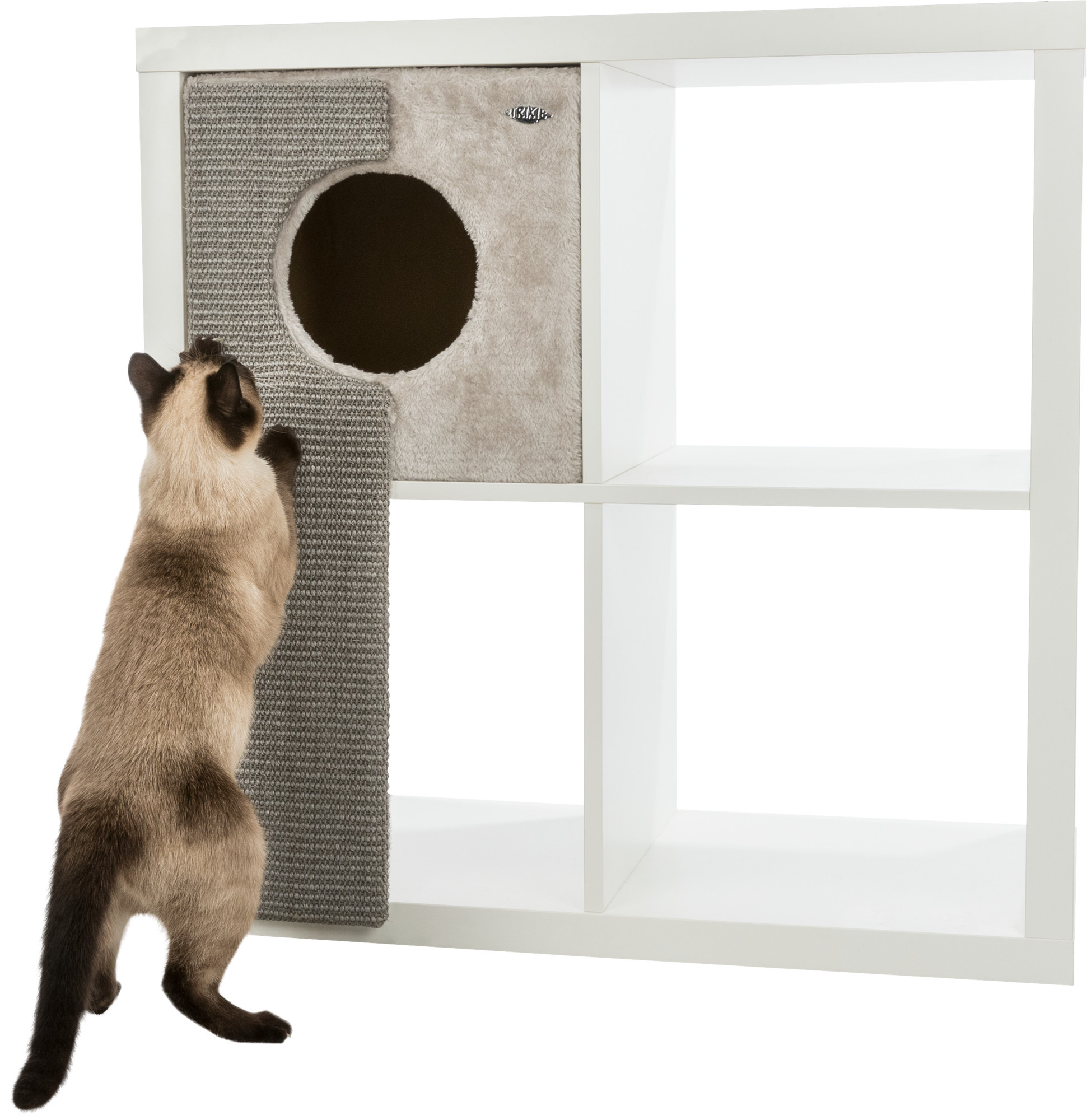 254437 pho pro cat clip 44084 1
