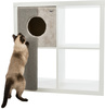 254437 pho pro cat clip 44084 1