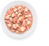 4e16e2c